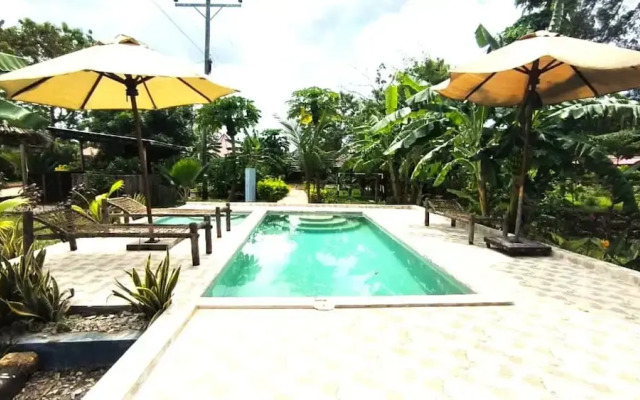 zanzllywood hotel and apartments