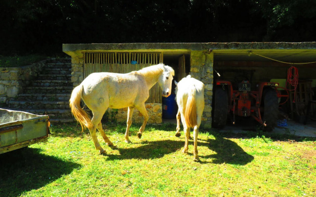 Quinta de Rio Alcaide