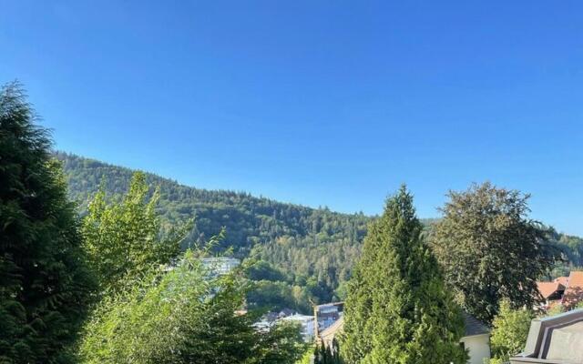 Cosy apartment in Bad Herrenalb with sauna
