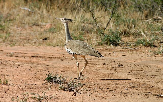 Waterberg Wilderness