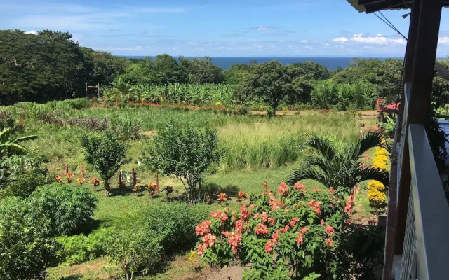 Finca Ometepe