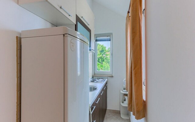 Apartments Ivo