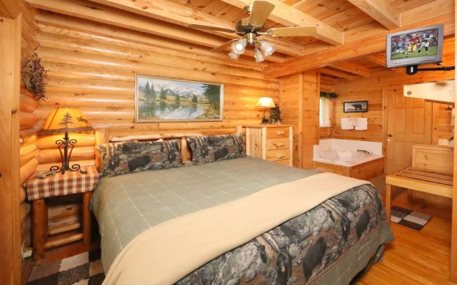 Smoky Cascades 1 Br cabin by RedAwning