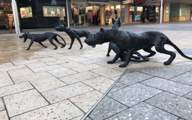 River Vineyard Retreat