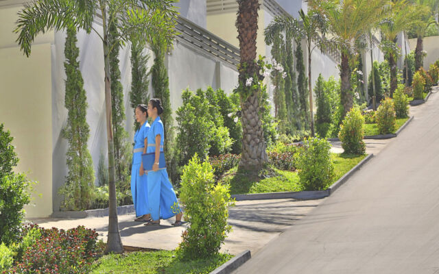 Samui Blue Orchid