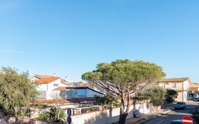 Martini Green House in Torre Grande