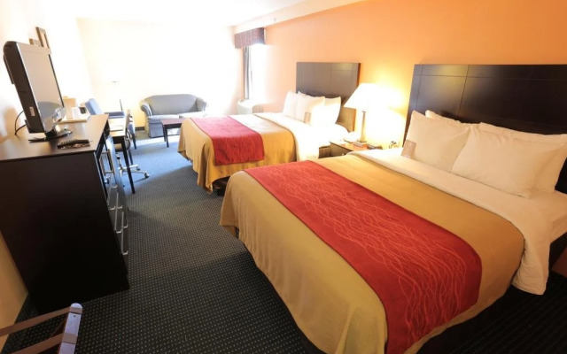 Caterina a San Pietro