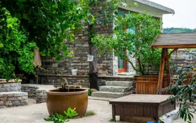 Two Ginkgo Trees · Old House Courtyard Homestay (Tianjin Jizhou Xijingyu)