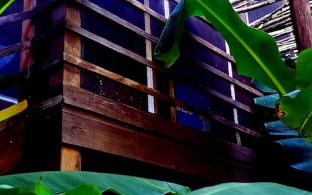 Wild Coffee Retreat - Adults Only