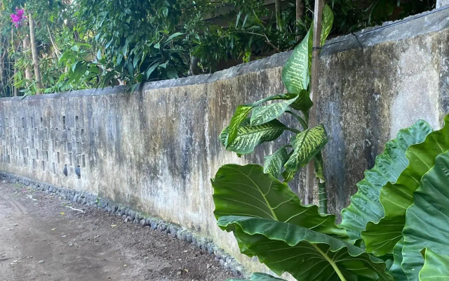 Shady Grove Healing Centre and Homestay