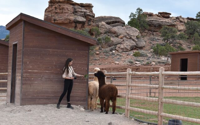 Cougar Ridge Resort, LLC