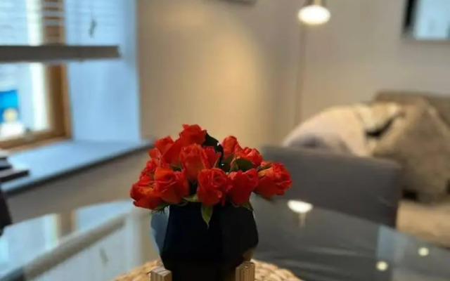 Modern City Center 2 Bedroom Apartment