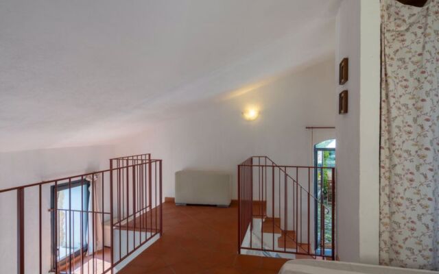 Maria Luisa (DOL286)