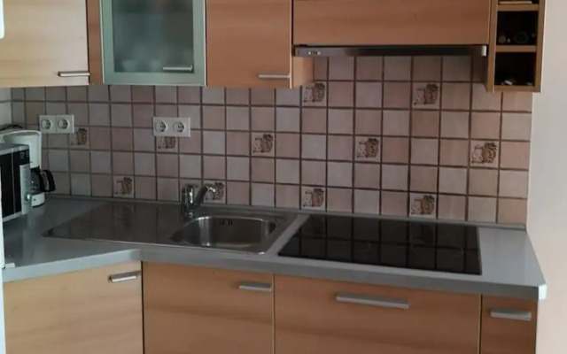Apartments Znidar
