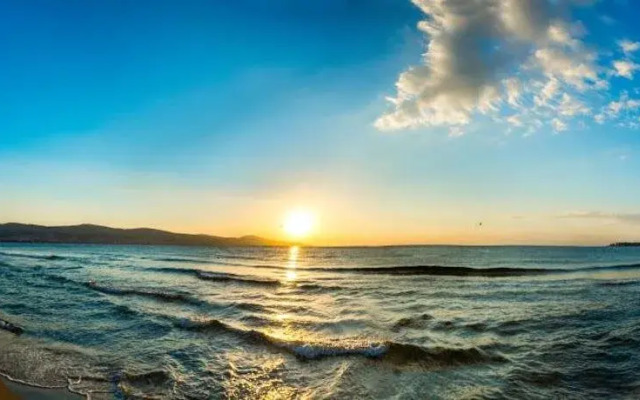 Sunny Beach Rent Apartments - Dune Residence