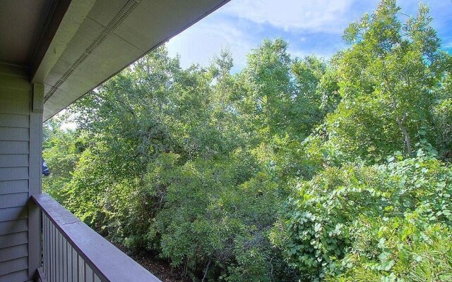 Teddy Bear - 2 Br Townhouse