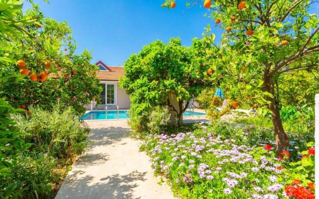 Duman Collection in Dalyan