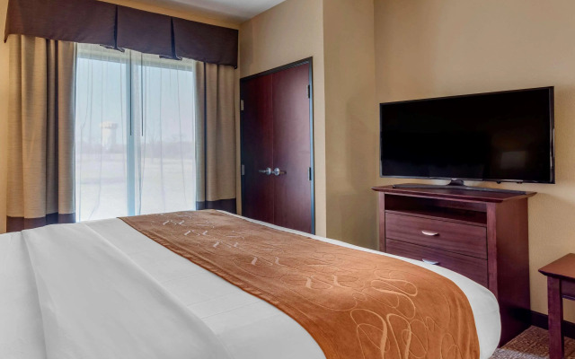 Comfort Suites Airport South
