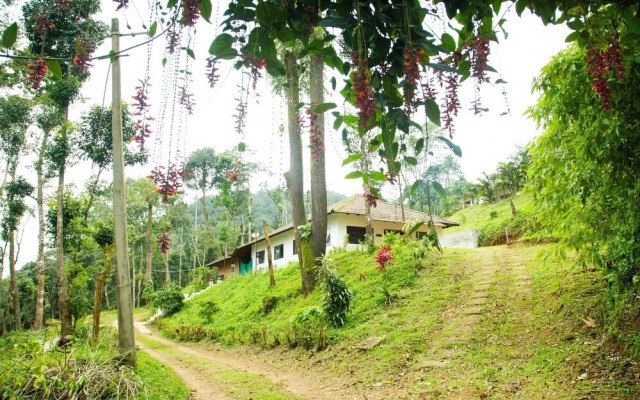 The Nest Bettathur Coorg