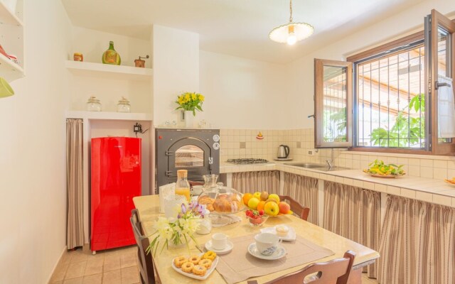 Sunflower Lanciano in Lanciano