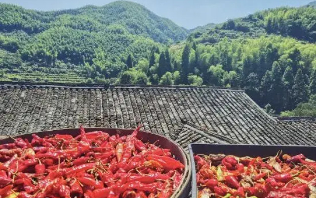 Yungu Shanfang Hostel