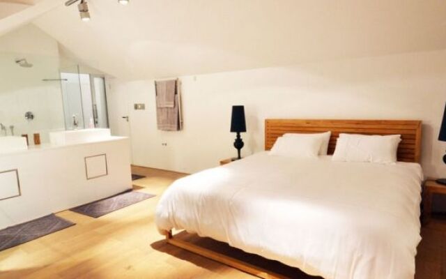 Scandinavian Mansion 9 Bedroom Palace