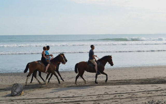 Macaws Ocean Club Jaco Condos 3