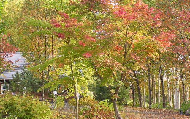 Focus Furano Management Service