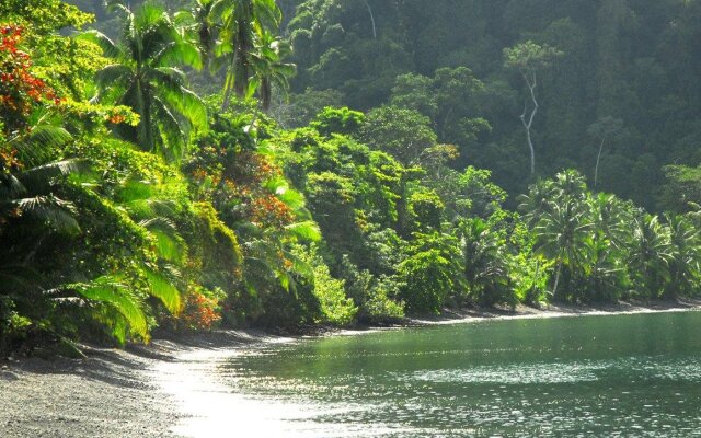 Playa Nicuesa Rainforest Lodge