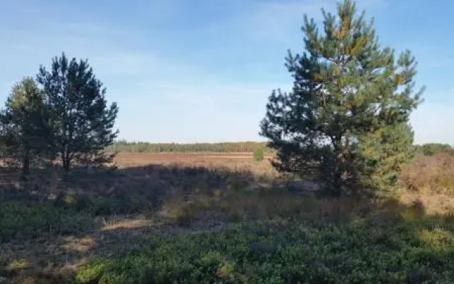 Herberg Schoapendrift