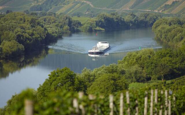 Holiday Home Moselle Valley