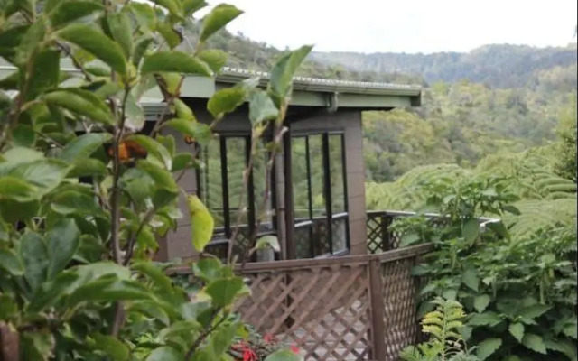 Lone Kauri Lodge Karekare