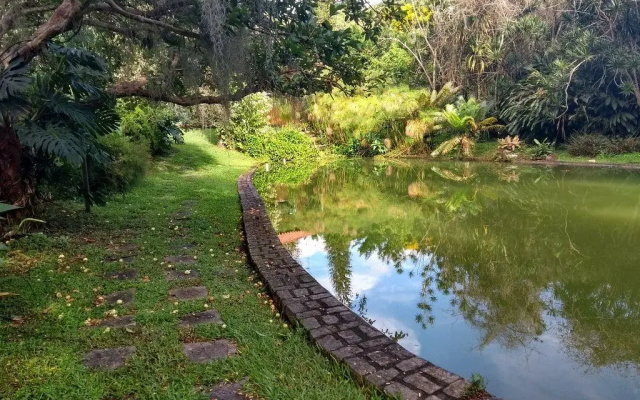 Pousada Amoedo