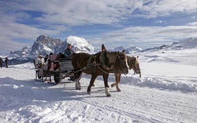 Apartment Puciacia - Bauernhof