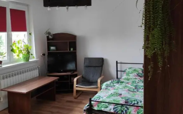 Gromadzyniówka-Pod czarnym kogutem