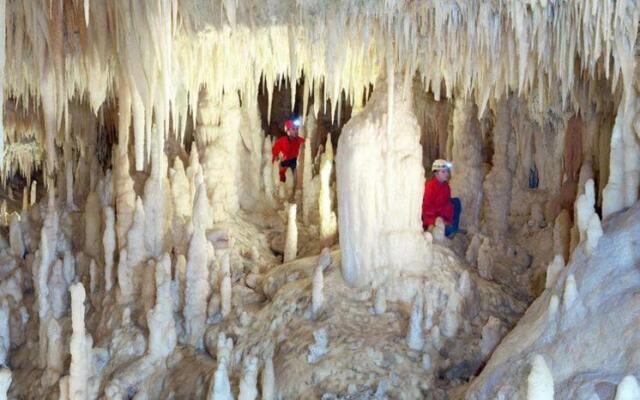 Appartamento L'Ulivo
