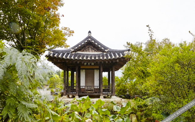 Chungju Wildflowers and Gotaengnadeuri