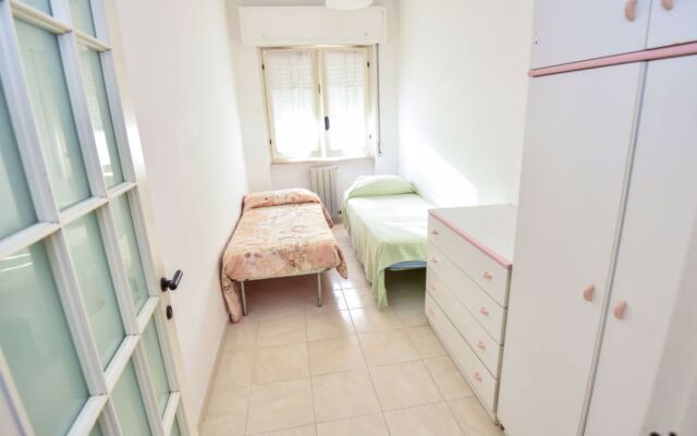 Green Marine, Palme, Ismare 24951