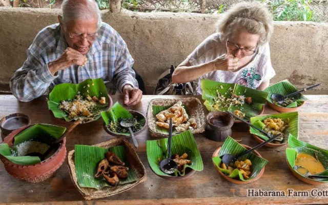 Suriya cottage Habarana