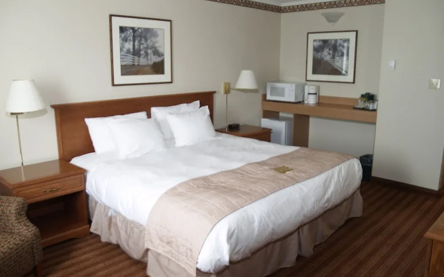 Lakeview Inns & Suites - Brandon