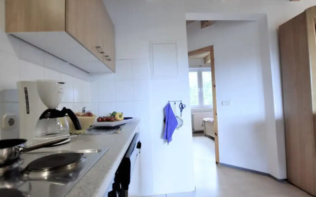 Geraeumige Ferienwohnung in Boddin mit Garten