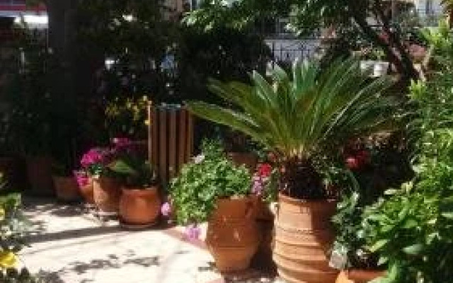 Eleni Studios