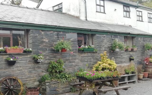 Ty Coch Farm B and B