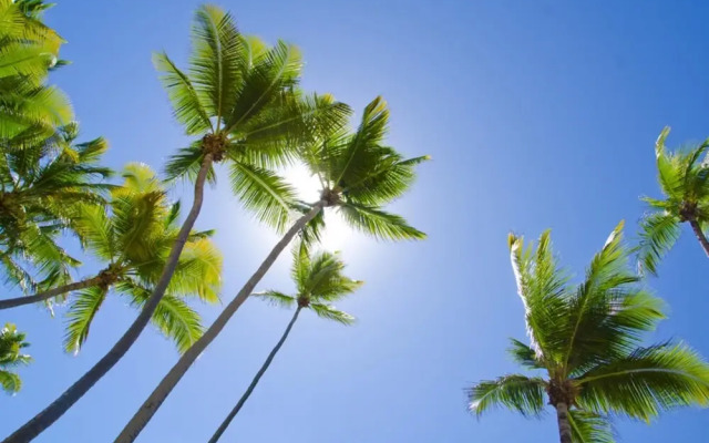 Relaxing Oceanfront Villa in Palmas del Mar Bv228