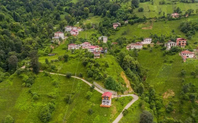 MCTSUİT