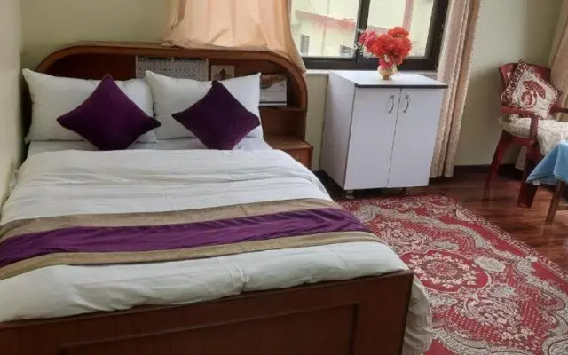 Kathmandu Airport View Hotel And Lodge