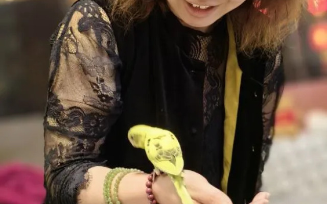 Libo Xiaoqikong Shunhao Inn