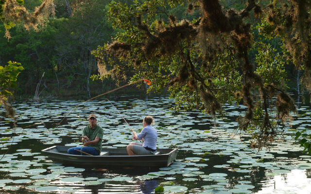 BlissWood Bed and Breakfast Ranch