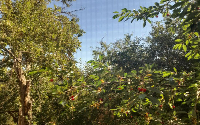 Waterfall in the yard