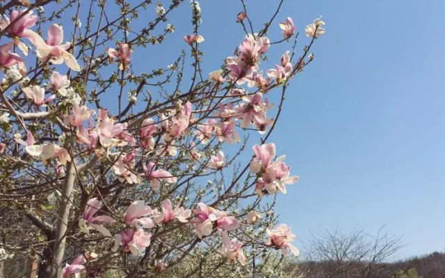 Dalian Beima Resort & Farm